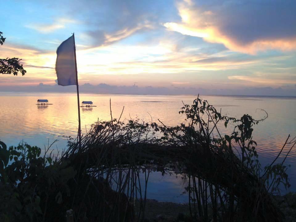 Birdland Beach Club Bolinao Εξωτερικό φωτογραφία